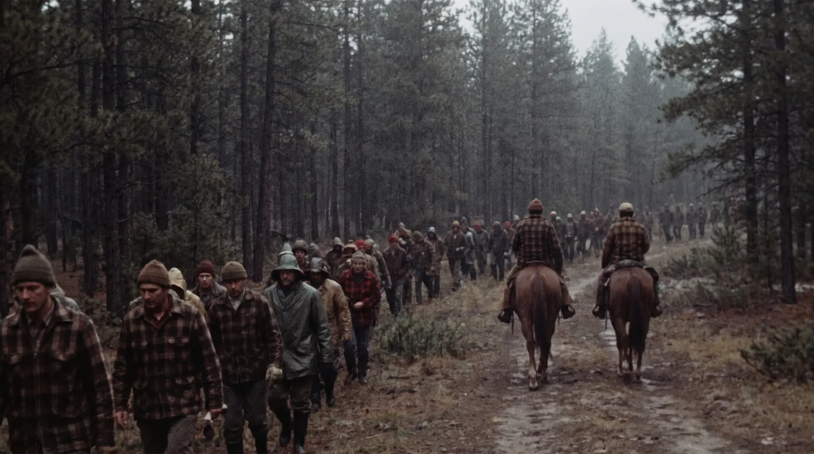 A 1970s search party of men in work jackets moving in a scattered line through pine forest, two on horseback further back, under flat overcast light